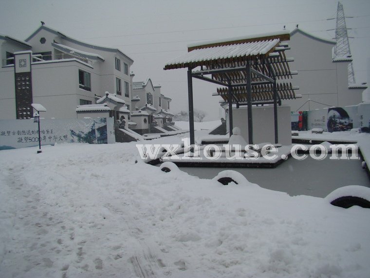 中堂实景图2008年1月28日      