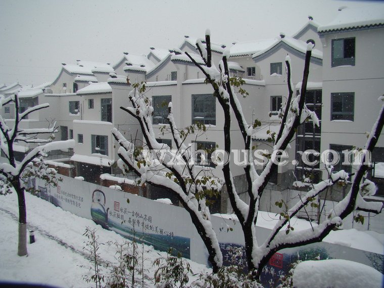 中堂实景图2008年1月28日      