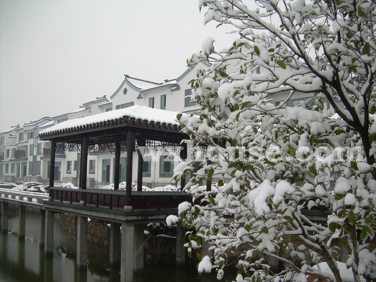 中堂实景图2008年1月28日      