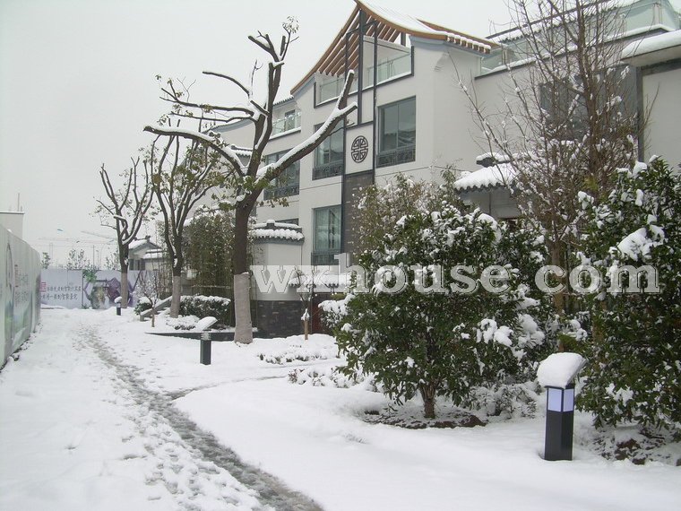 中堂实景图2008年1月28日      