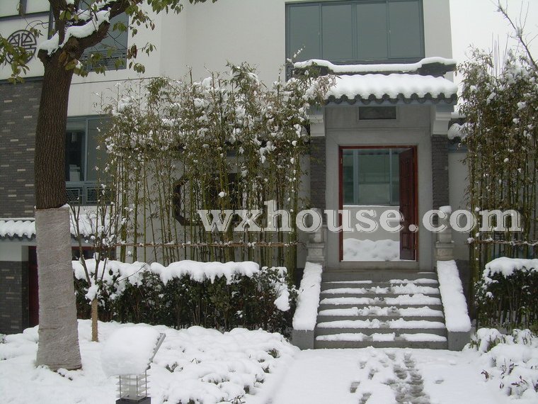 中堂实景图2008年1月28日      