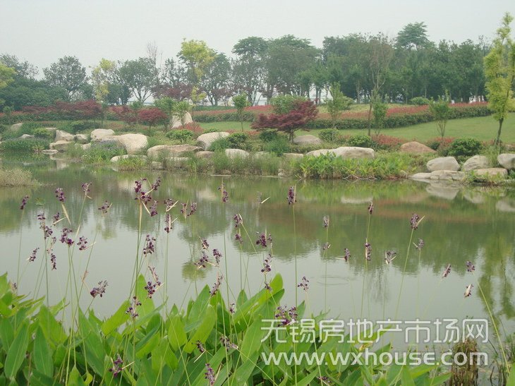 小区景观      