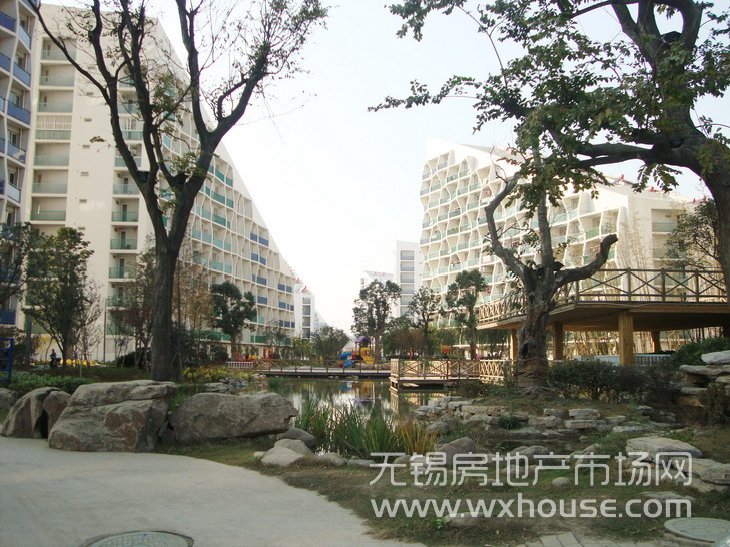 住宅与景观      