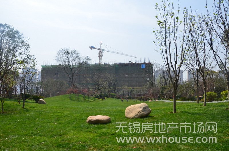 景观示范区      