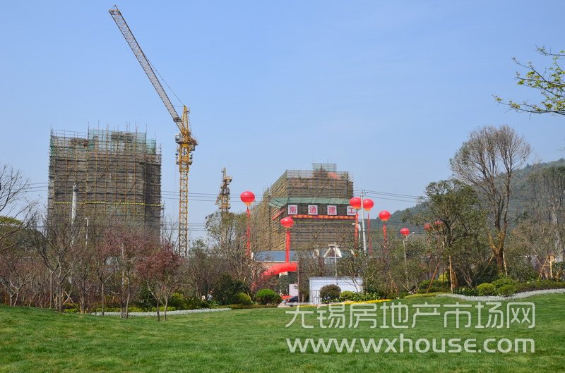 景观示范区      