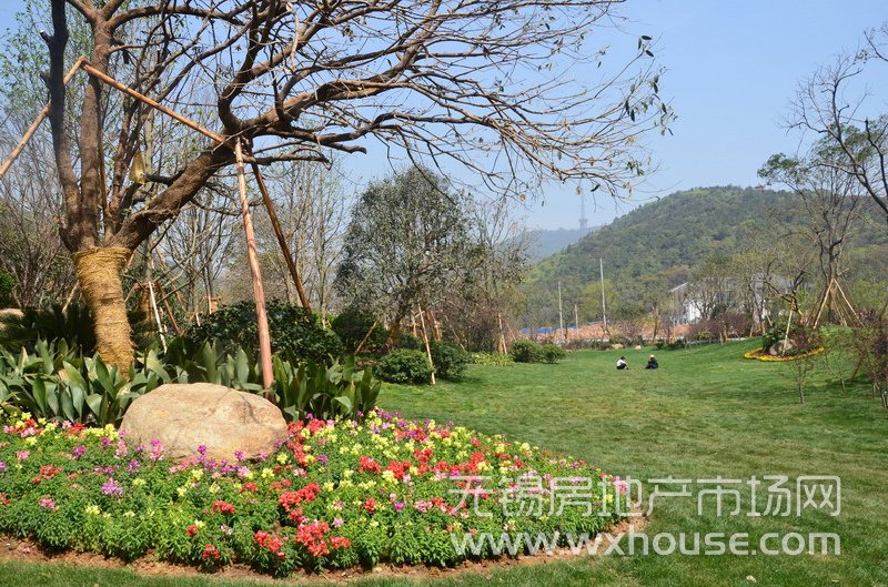 景观示范区      