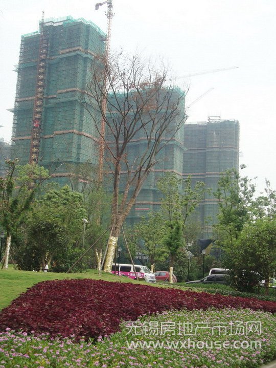 现场施工进度      