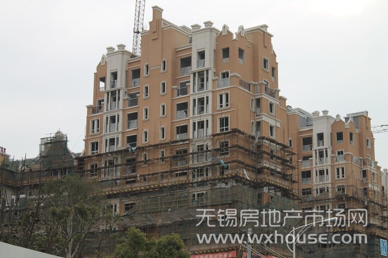 现场施工进度      
