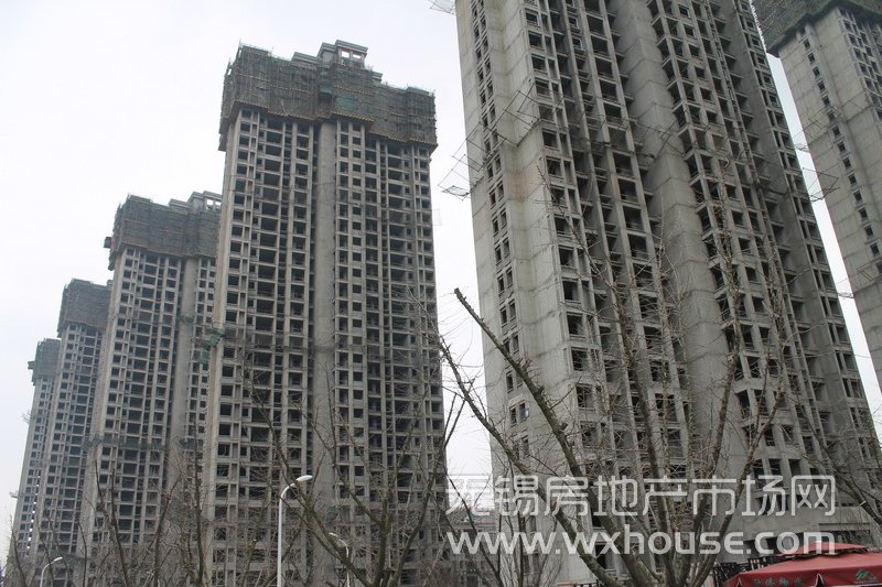 现场施工进度      
