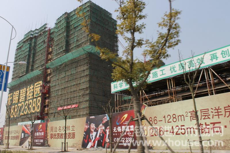 现场施工进度      