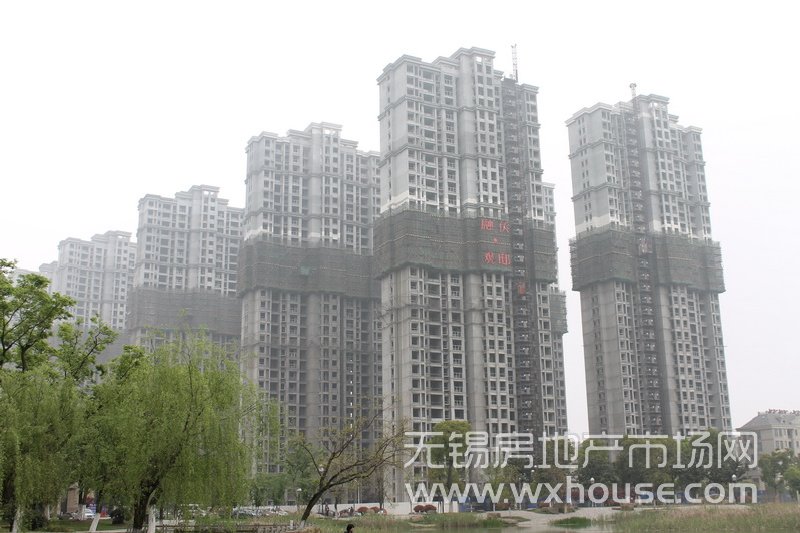 现场施工进度      