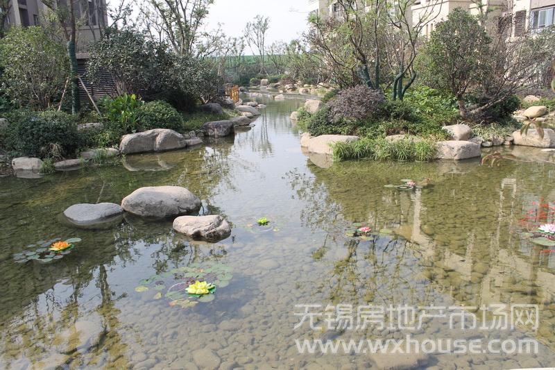 小区景观      