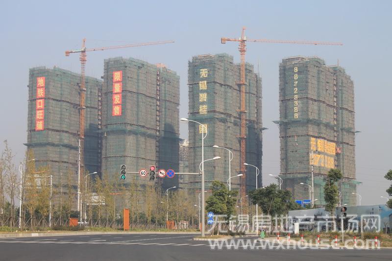 现场施工进度      