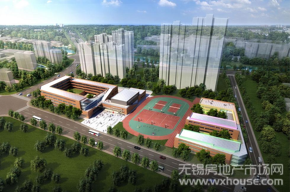 小学，幼儿园鸟瞰图      