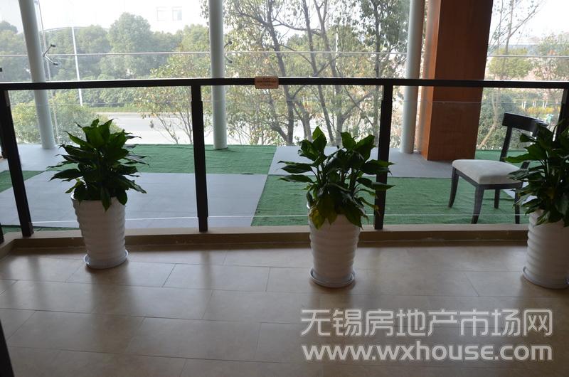 户型114平米样板房：阳台      