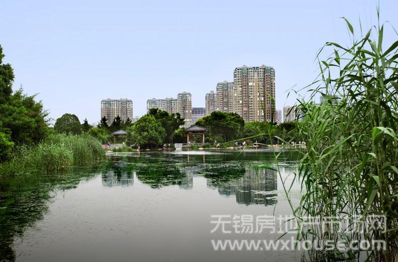 风景      