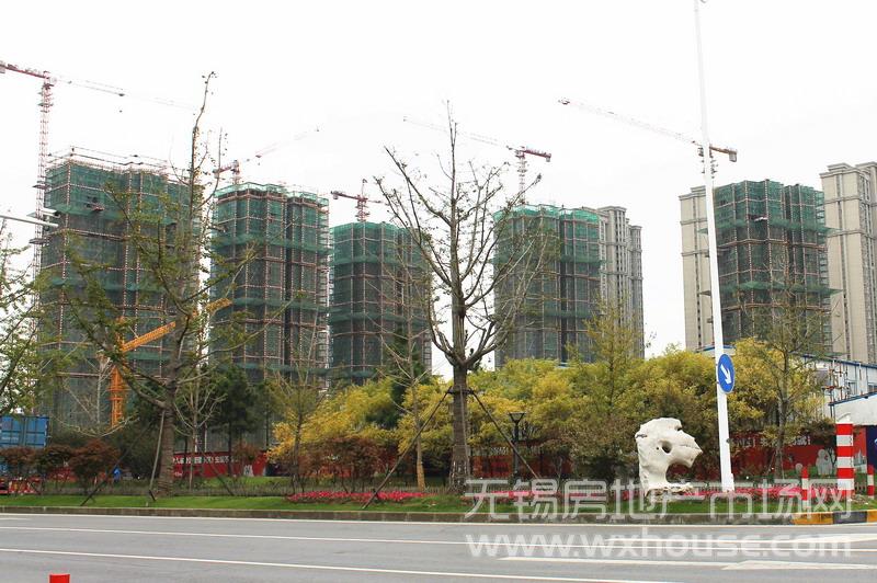 现场施工进度      