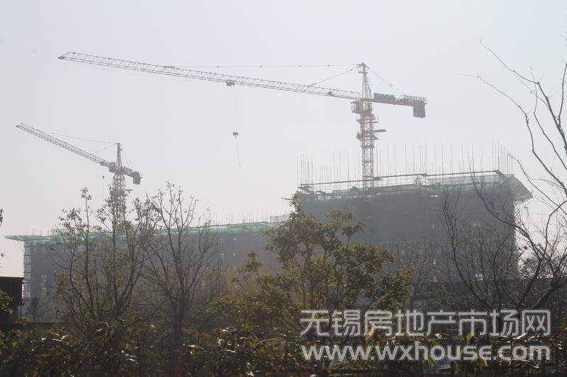 项目施工进度      