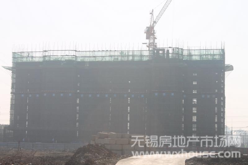 项目施工进度      