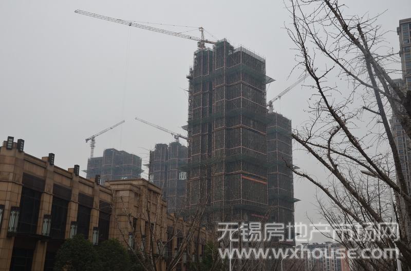 项目施工进度      