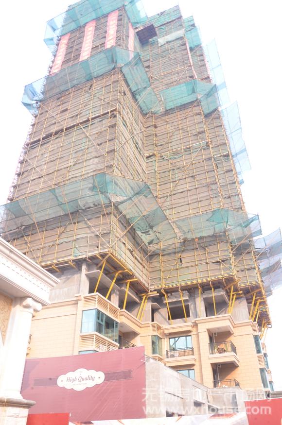项目施工进度      