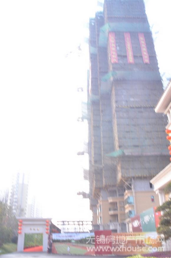 项目施工进度      