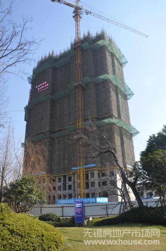 项目施工进度      