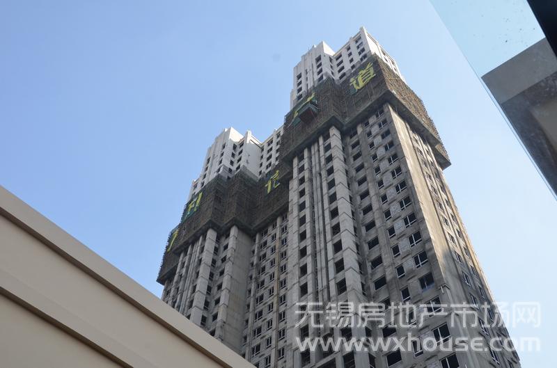 项目施工进度      