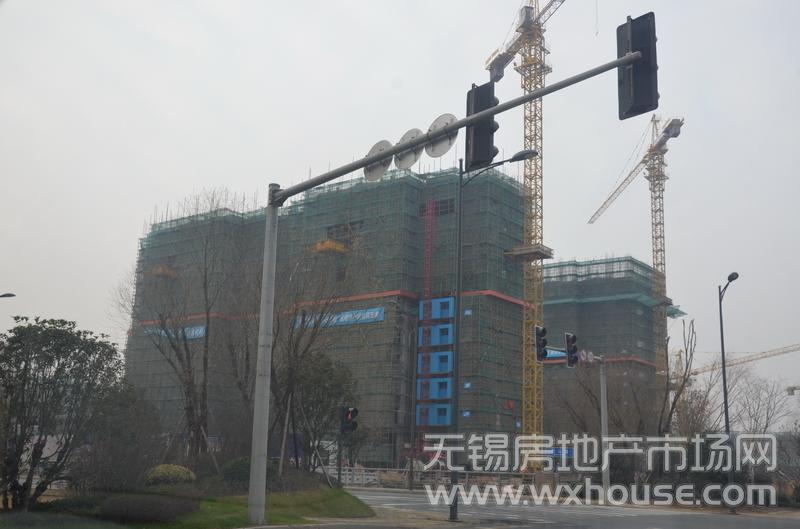 项目施工进度      