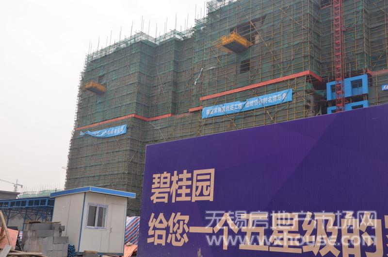 项目施工进度      