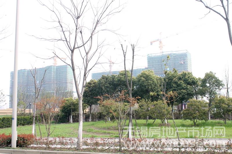 现场施工进度      