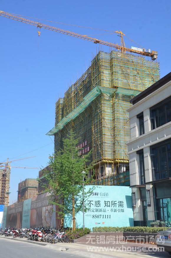 现场施工进度      