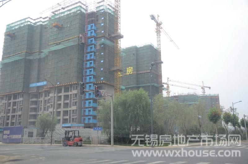 现场施工进度      