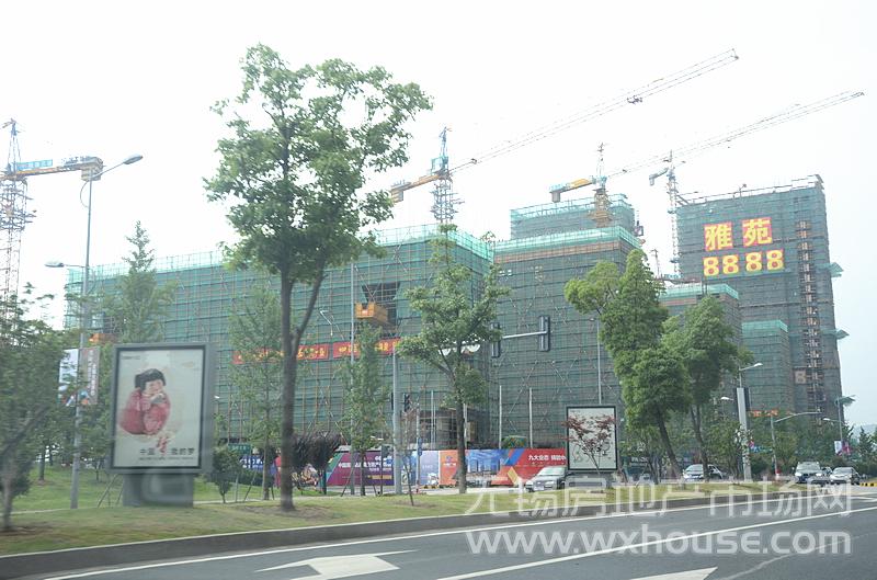 现场施工进度      