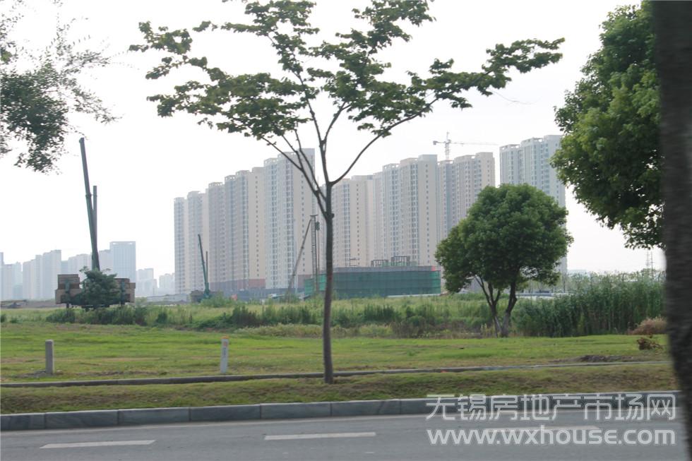 项目工程进度      