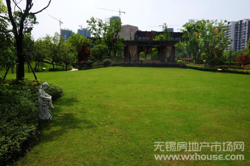 实景图      