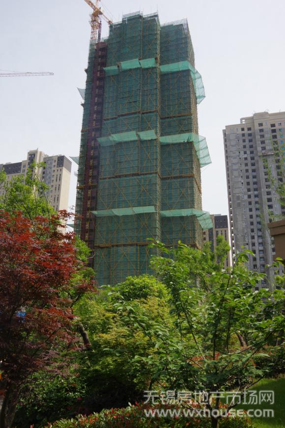 工程进度      
