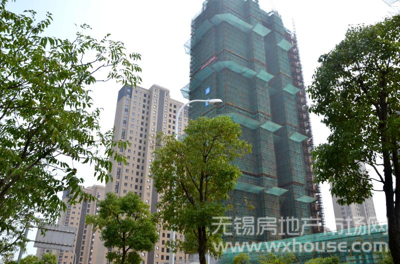 工程进度      