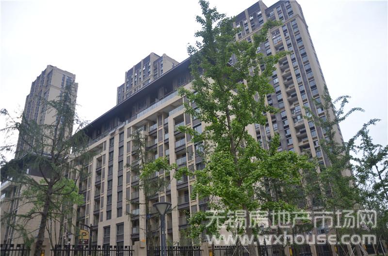 B地块住宅实景图      