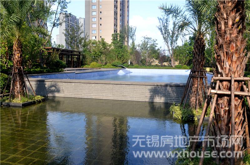 小区景观      