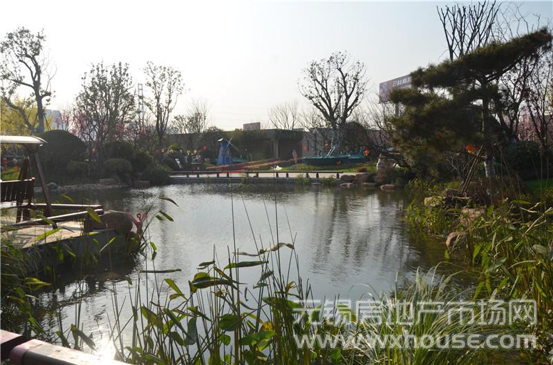景观示范区实景      