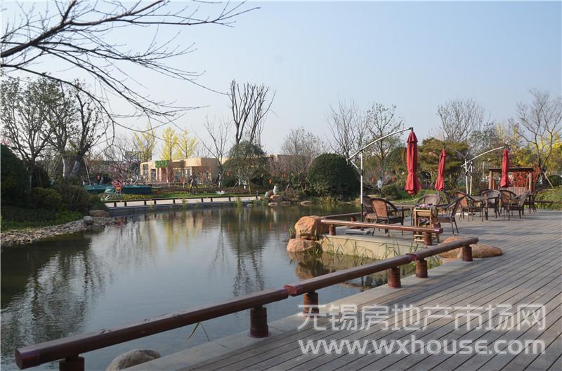 景观示范区实景      