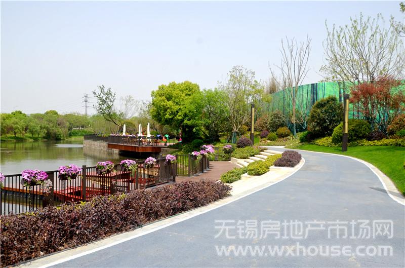 样板示范区实景      