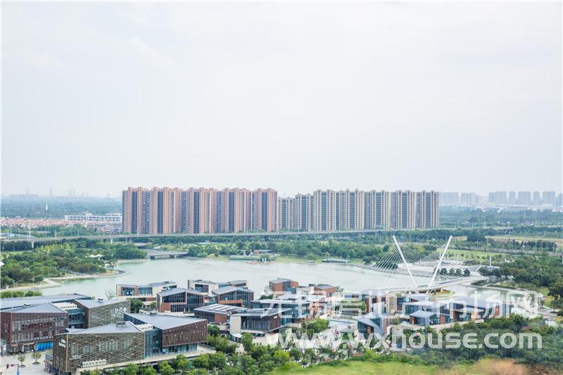实景