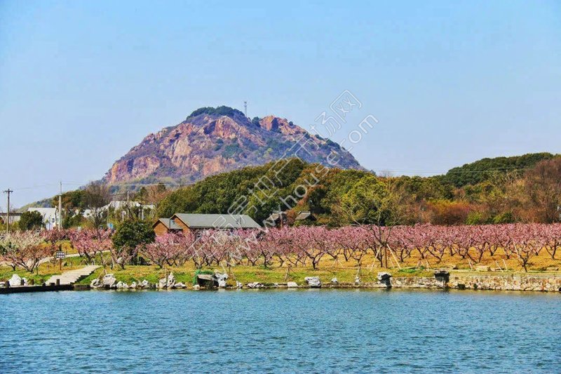两宗地最高限价楼面价均为8500元/㎡，阳山未来可期！